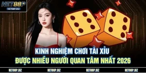 Kinh Nghiệm Chơi Tài Xỉu Được Nhiều Người Quan Tâm Nhất 2026