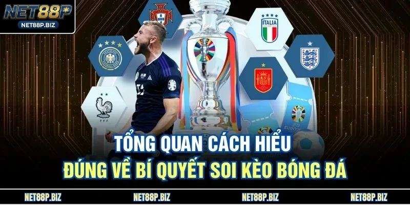 Tổng quan cách hiểu đúng về bí quyết soi kèo bóng đá