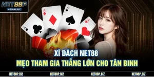 Xì Dách NET88 – Mẹo Tham Gia Thắng Lớn Cho Tân Binh